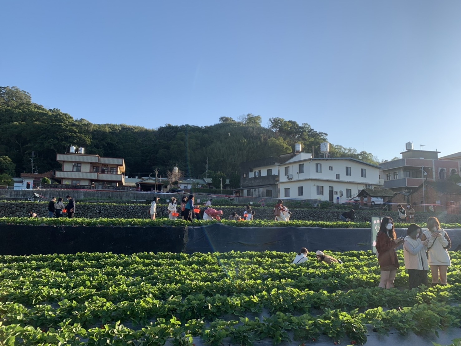 圖片一